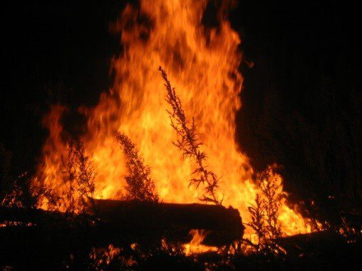 Rasgos de los Signos Agua y Fuego