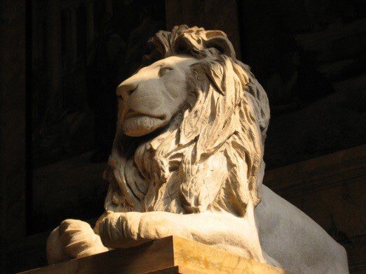 Comportamiento del Nativo Leo