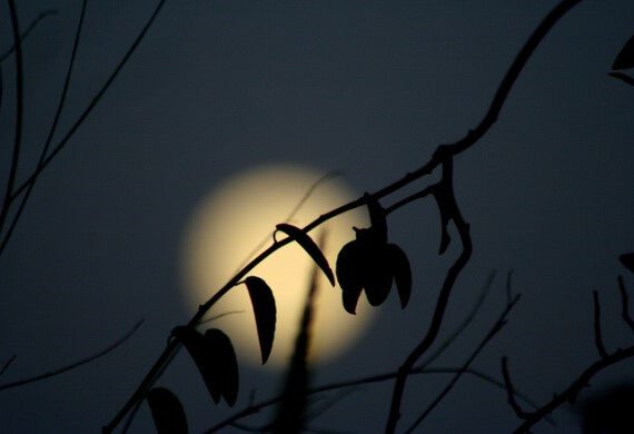 La Luna en los Horóscopos 2024
