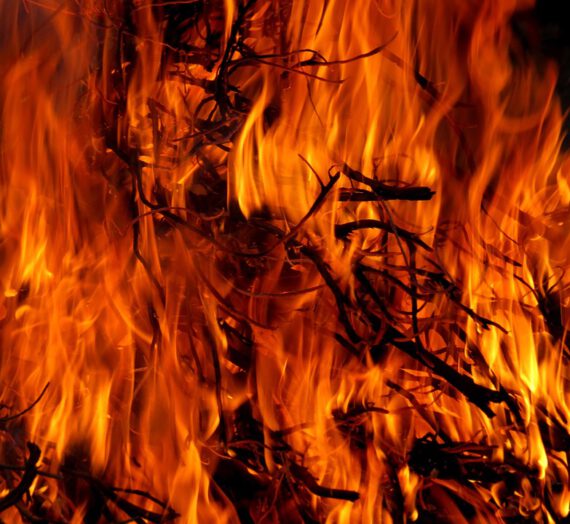 Diferencias entre los signos de Fuego