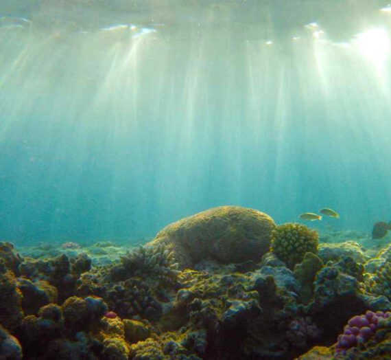 Los desafíos de Acuario