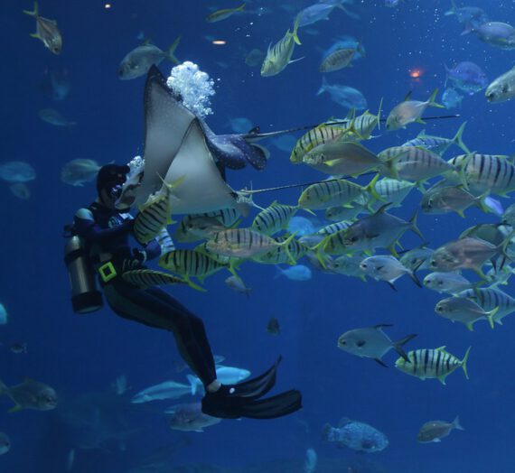 Cómo son los Acuario: Cómo es el hombre y la mujer Acuario